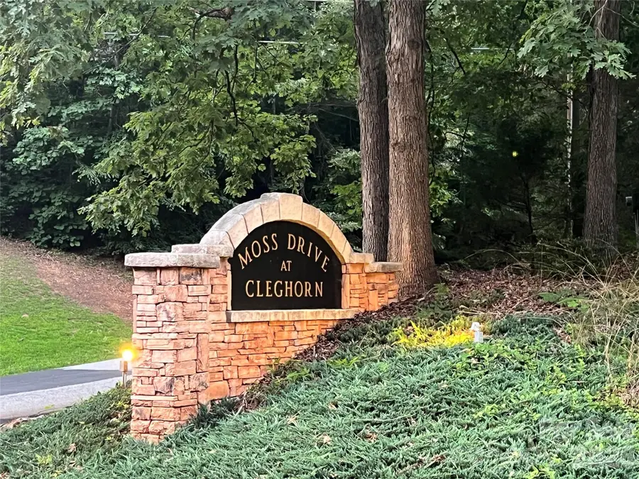 000 Moss Drive, Rutherfordton, NC 28139 - #2