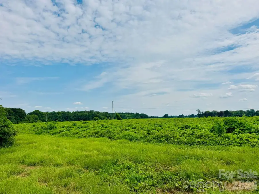 0000 Skeeter Lane, McColl, SC 29570 - #2