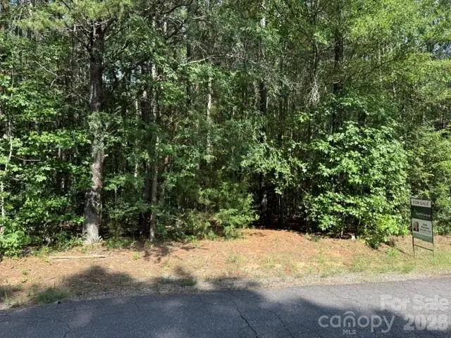 TBD Agnes Douglas Road, Indian Land, SC 29707 - #2