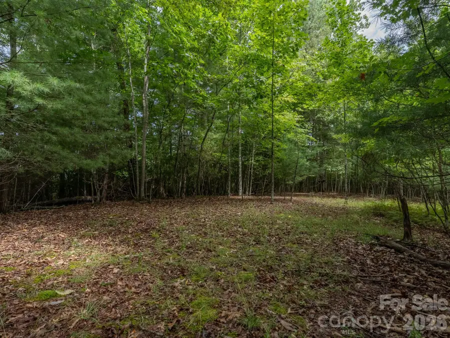 0 Hebron Road, Hendersonville, NC 28792 - #3