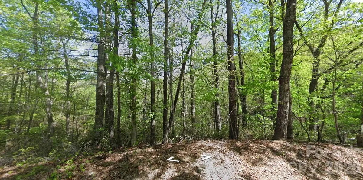 0 Buzzards Place, Lake Lure, NC 28746 - #1