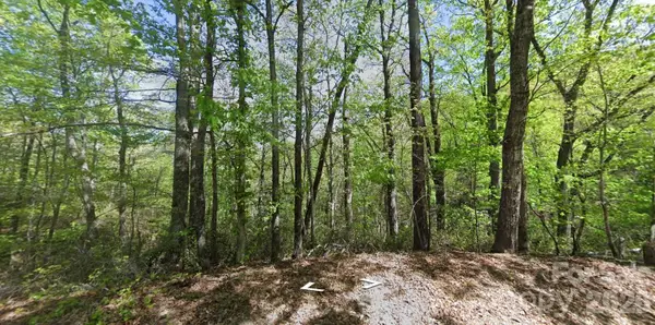 0 Buzzards Place, Lake Lure, NC 28746