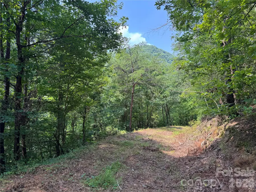 6080 River Road, Hot Springs, NC 28743 - #3