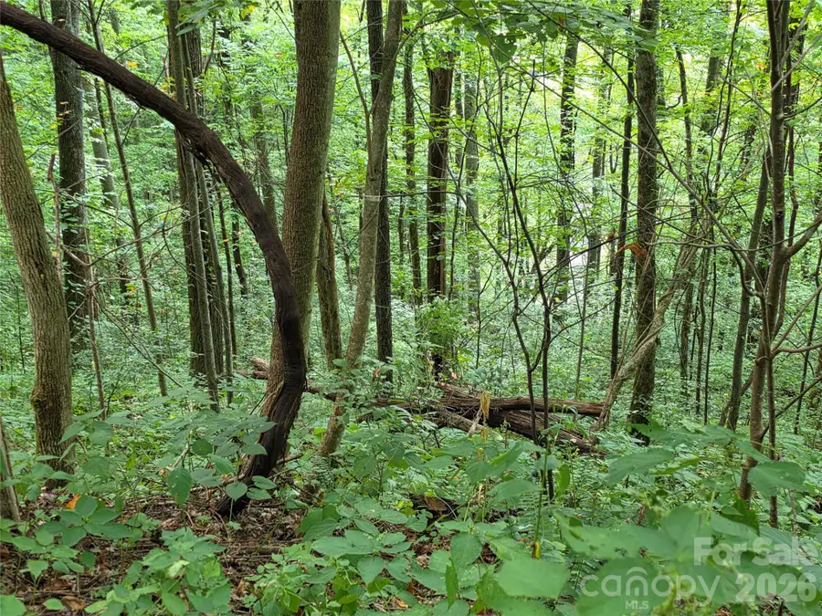 Lot 17 Cocker Spaniel Court #17, Whittier, NC 28789 - #2