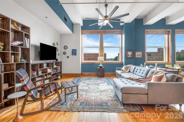 59 College Street #201, Asheville, NC 28801