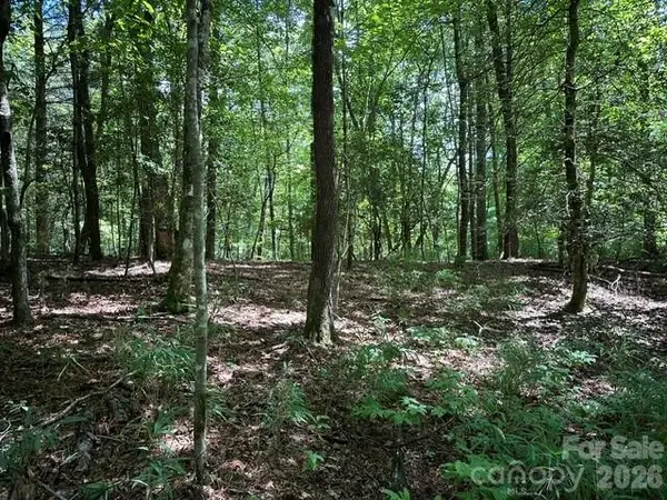 TBD Blossom Road, Brevard, NC 28712