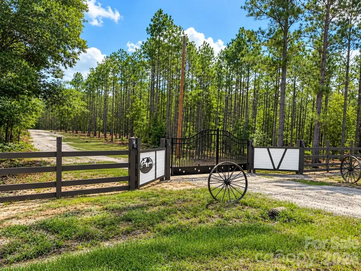 3203 Landfill Road, Mount Croghan, SC 29727 - #1