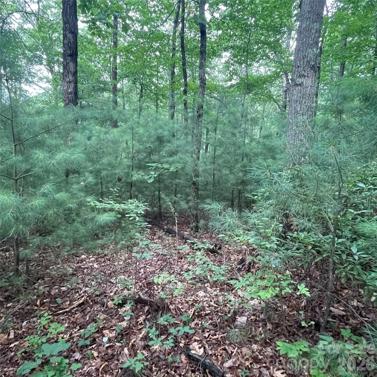 0 Mulberry Divide, Zirconia, NC 28790 - #1