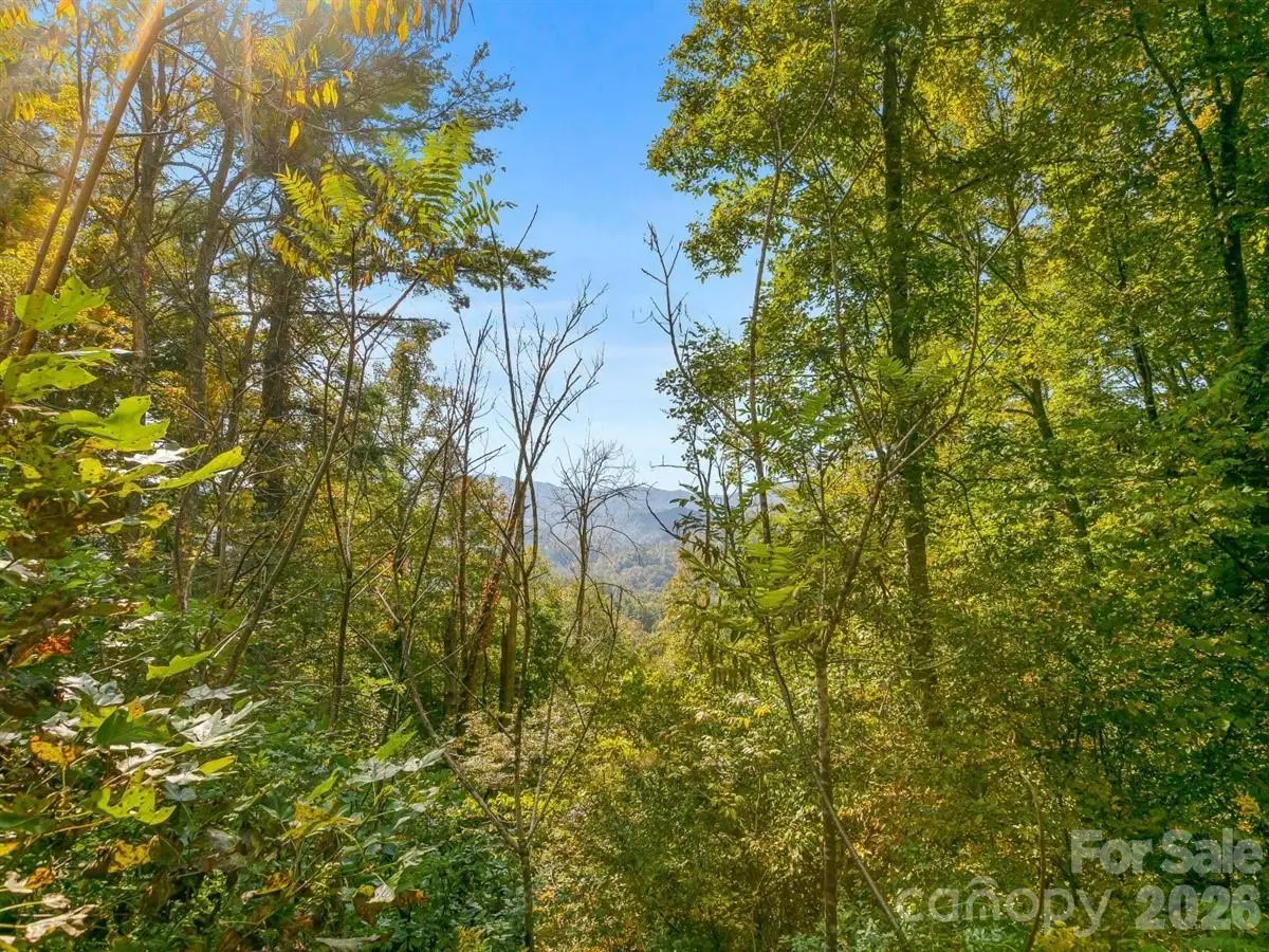 TBD Laurel Heights #35, Marshall, NC 28753 - #1