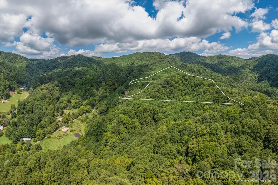 99999 Rabbit Run, Marshall, NC 28753 - #3