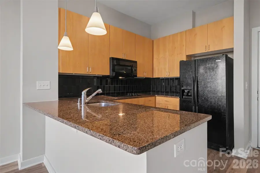525 E 6th Street #201, Charlotte, NC 28202 - #3