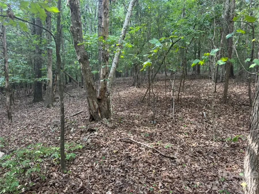 7.5 Acres Old Camden Monroe Highway, Lancaster, SC 29720 - #3