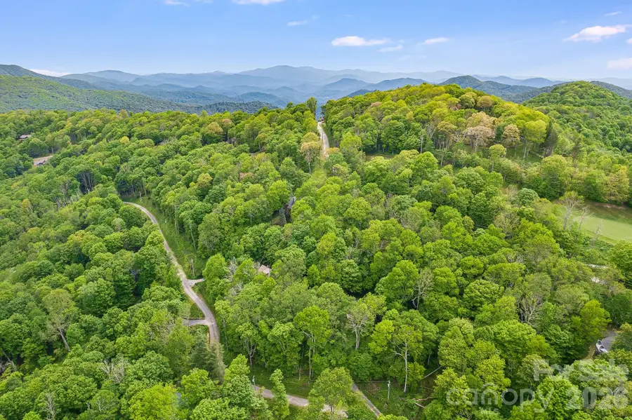 170 Lucas Lane, Mars Hill, NC 28754 - #2