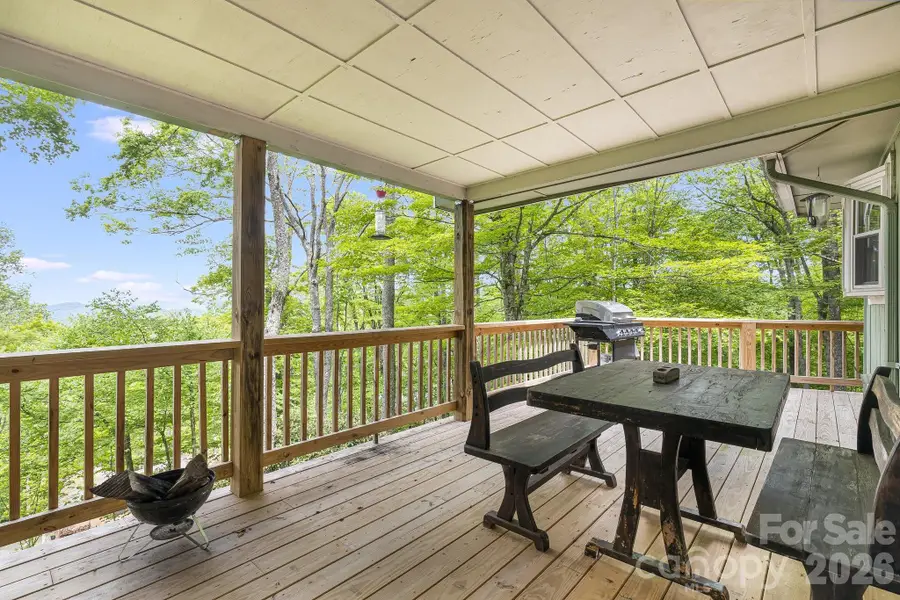 170 Lucas Lane, Mars Hill, NC 28754 - #3