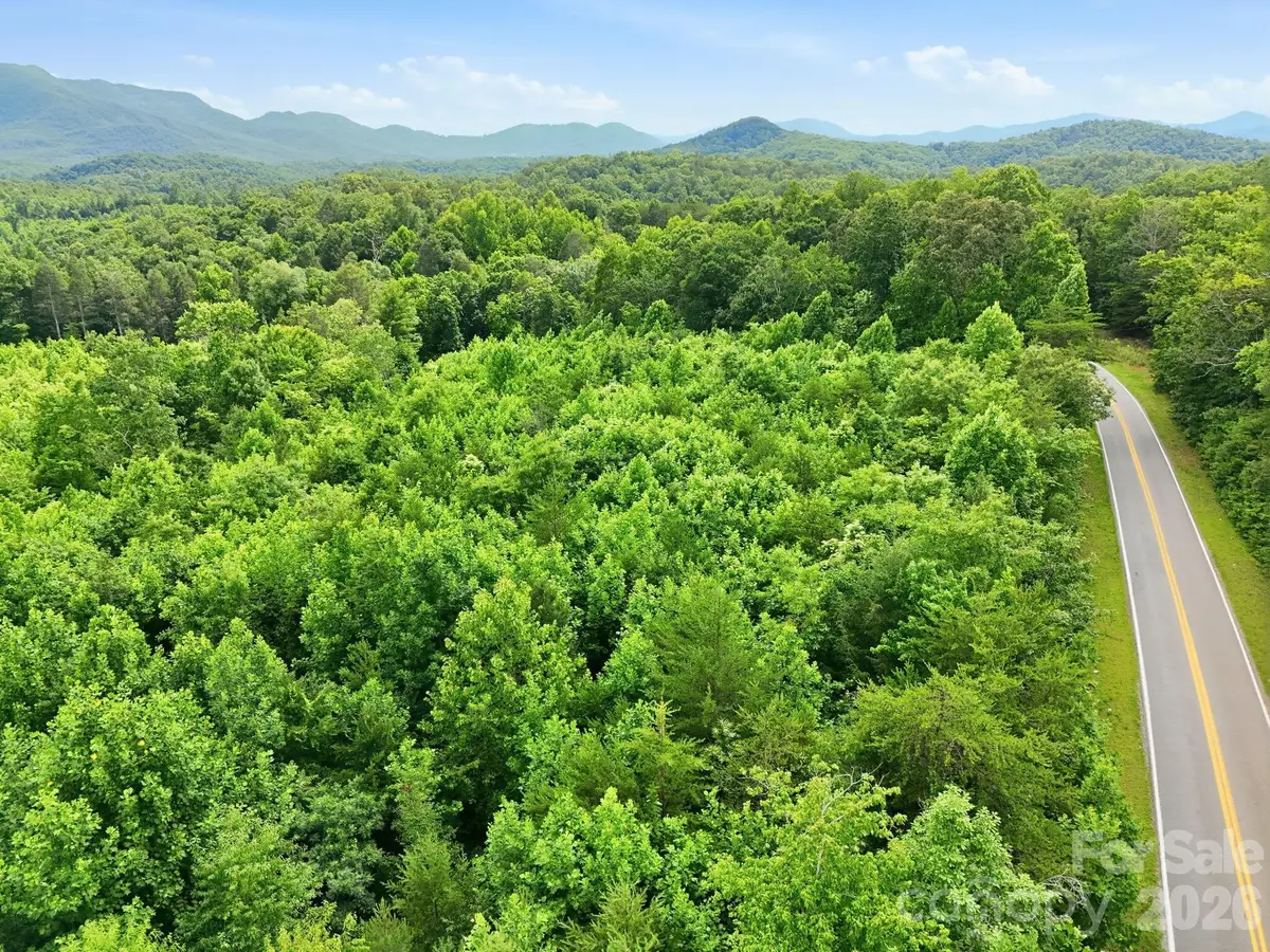 2873 Parker Padgett Road, Old Fort, NC 28762 - #1