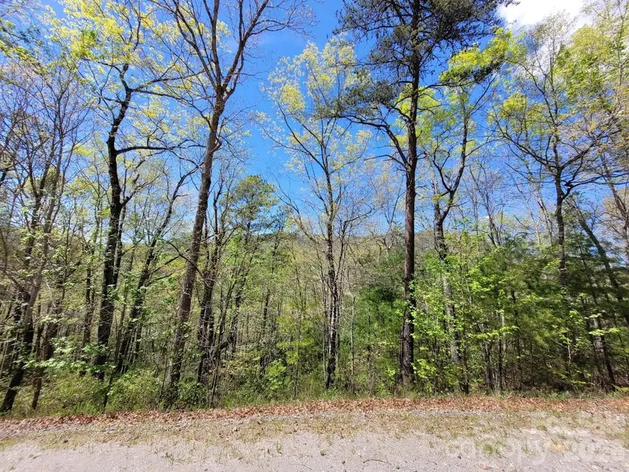 Lot 21 Little Fox Run, Marion, NC 28752 - #2