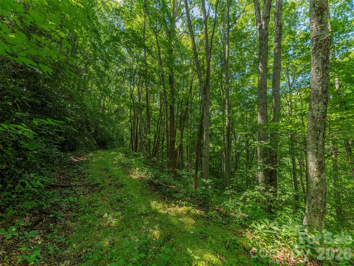 132 Grouse Road #131, 132, 133, 134, Clyde, NC 28721 - #1