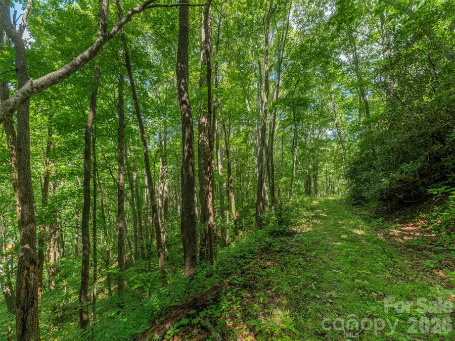 132 Grouse Road #131, 132, 133, 134, Clyde, NC 28721 - #2
