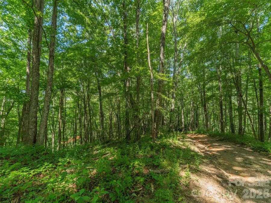 132 Grouse Road #131, 132, 133, 134, Clyde, NC 28721 - #3