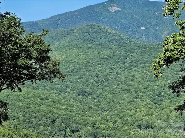 109 Big Ridge Road #109, Burnsville, NC 28714