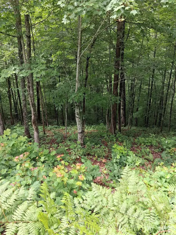 TBD Preservation Trail #47, Sylva, NC 28779