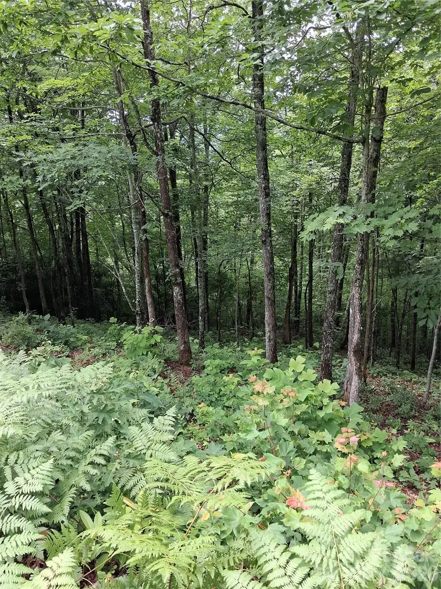 TBD Preservation Trail #47, Sylva, NC 28779 - #2