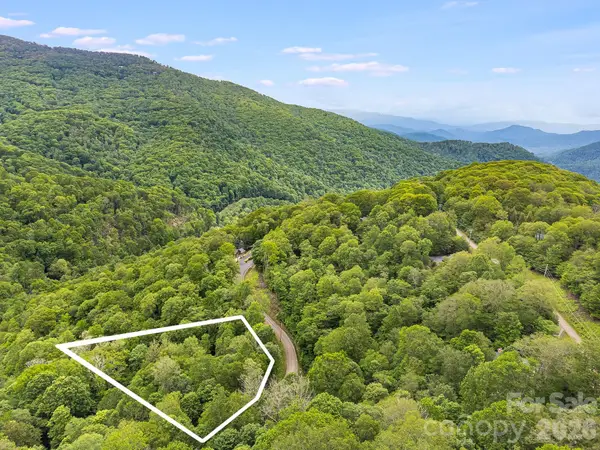 65 Bee Tree Lane, Mars Hill, NC 28754