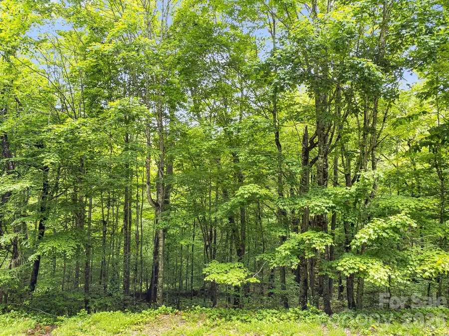 65 Bee Tree Lane, Mars Hill, NC 28754 - #2