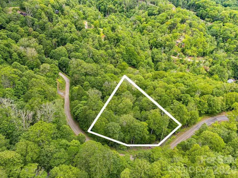 65 Bee Tree Lane, Mars Hill, NC 28754 - #3