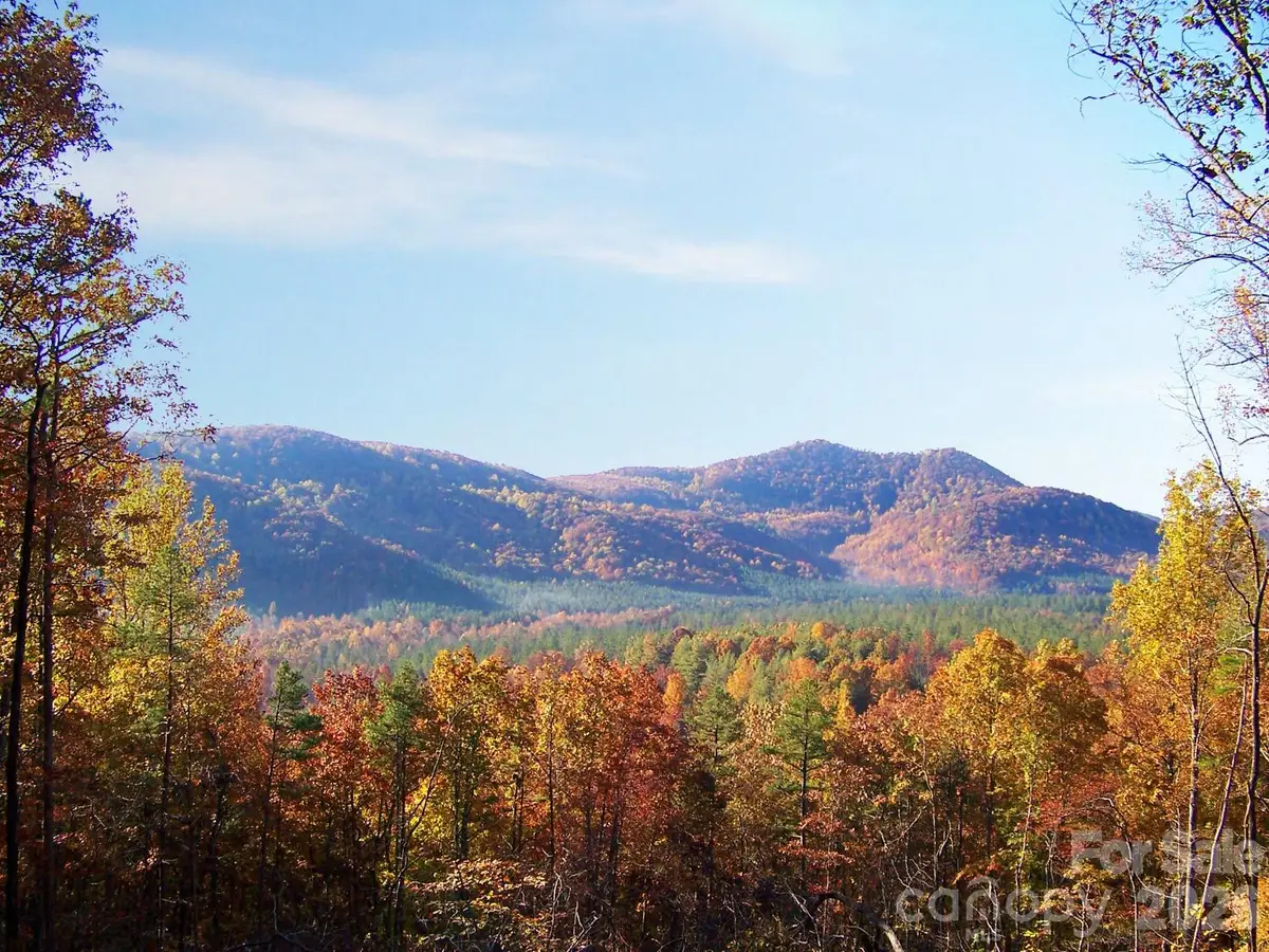 V/L Scenic Vista Drive #332/333, Nebo, NC 28761 - #1