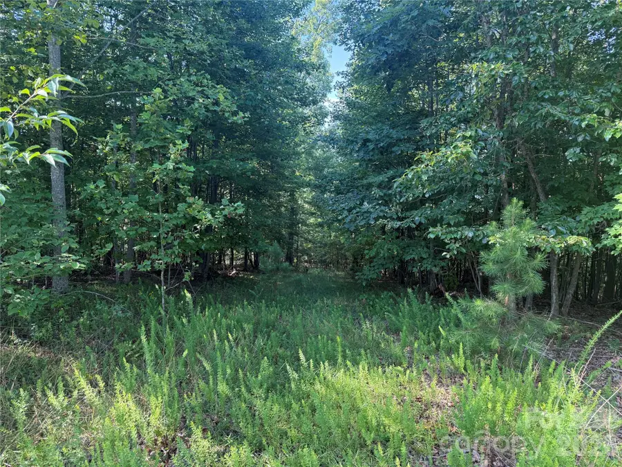 V/L Scenic Vista Drive #332/333, Nebo, NC 28761 - #2