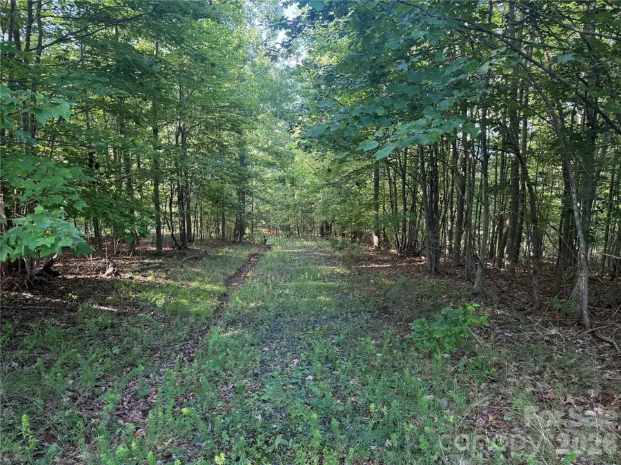 V/L Scenic Vista Drive #332/333, Nebo, NC 28761 - #3