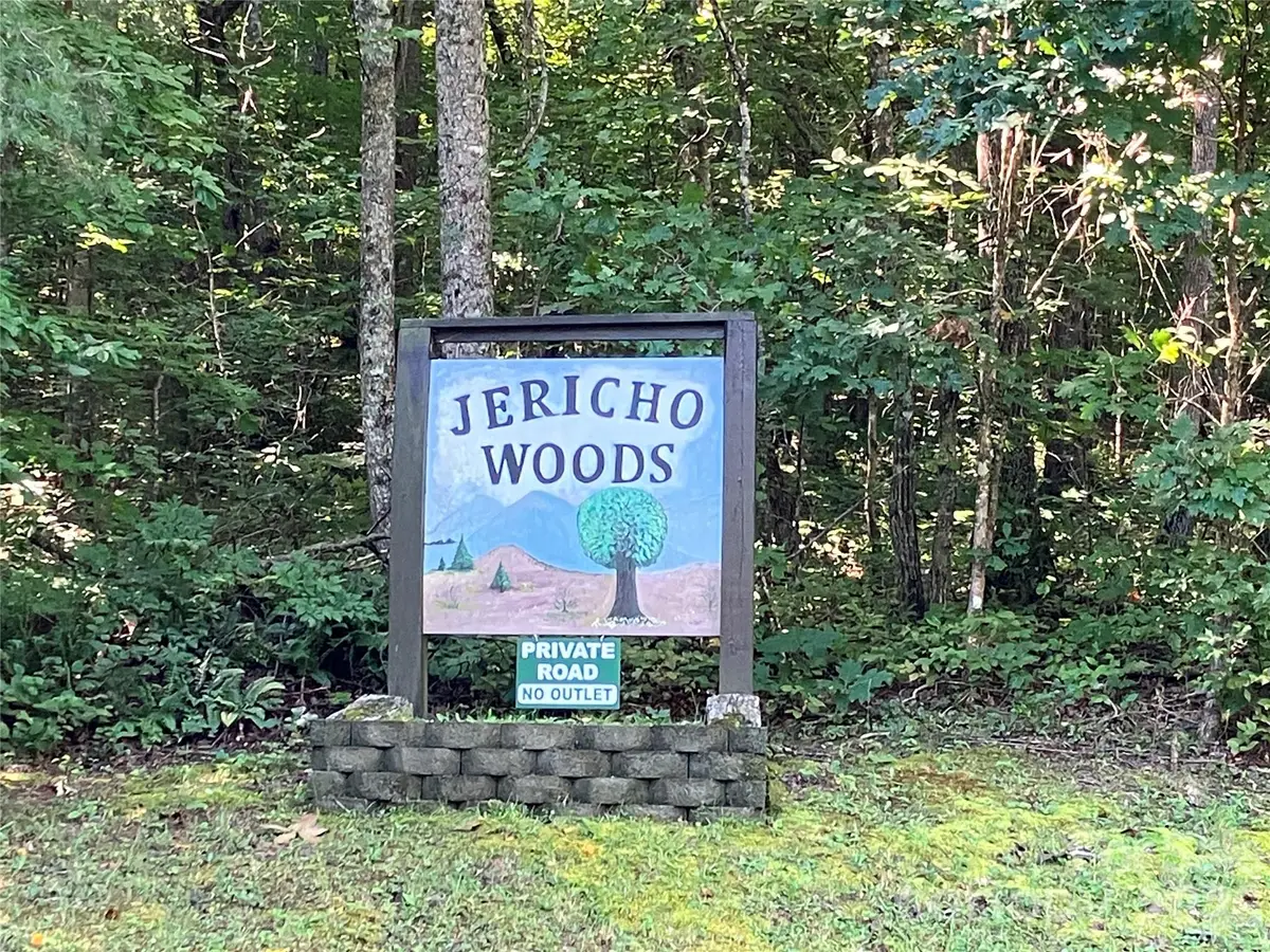 00 Tyler Terrace #Lot 11, Rutherfordton, NC 28139 - #1