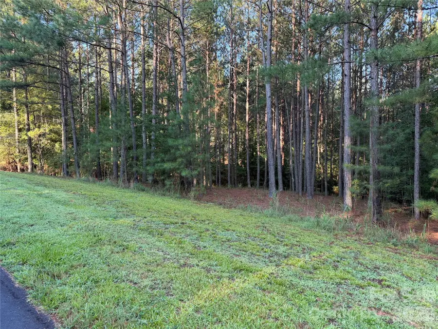 108 Whispering Pines Lane, Mooresboro, NC 28114 - #2