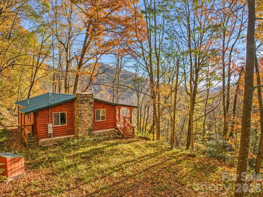 430 Long Branch Road, Clyde, NC 28721 - #2