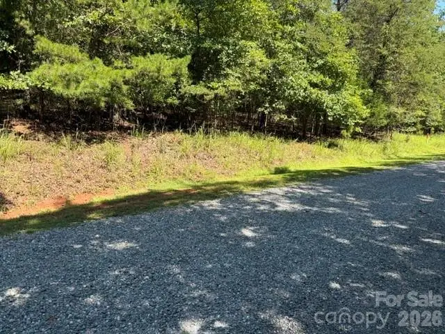 00 Elliott Drive #51, Rutherfordton, NC 28139 - #1
