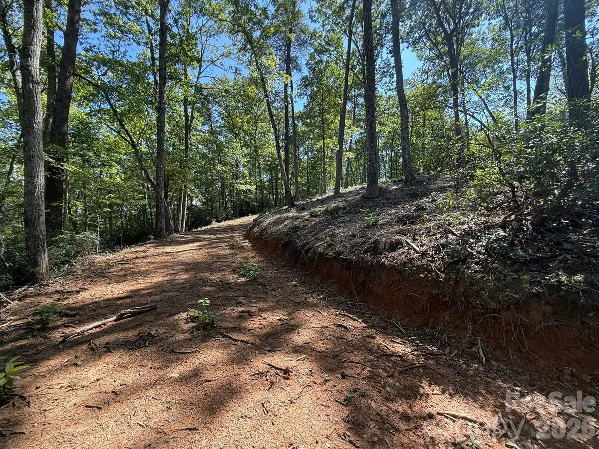 V/L Overland Trail #168, Marion, NC 28752 - #1
