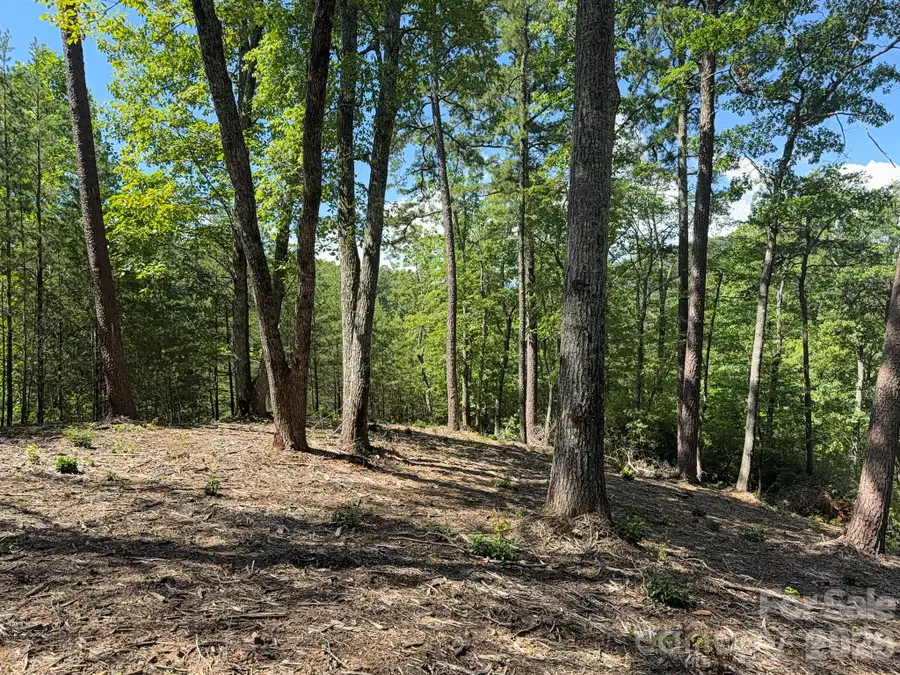 V/L Overland Trail #168, Marion, NC 28752 - #2