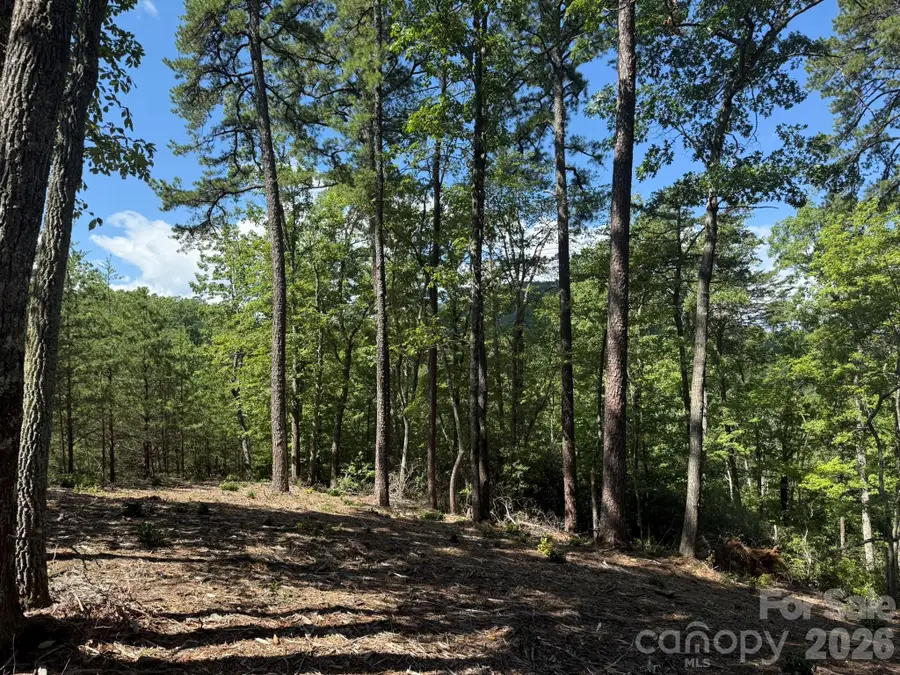 V/L Overland Trail #168, Marion, NC 28752 - #3