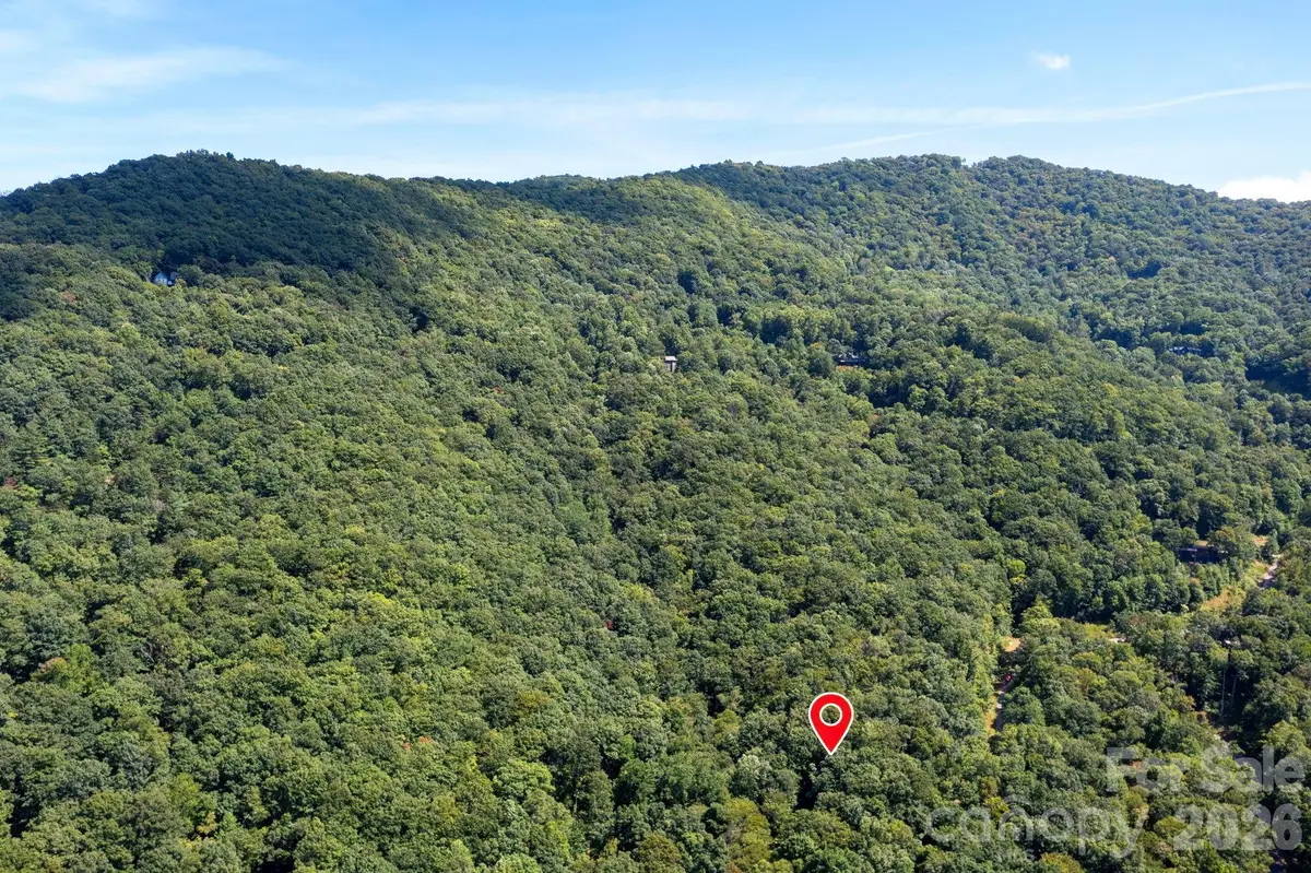 1250 Arborcrest Way #43, Swannanoa, NC 28778 - #1