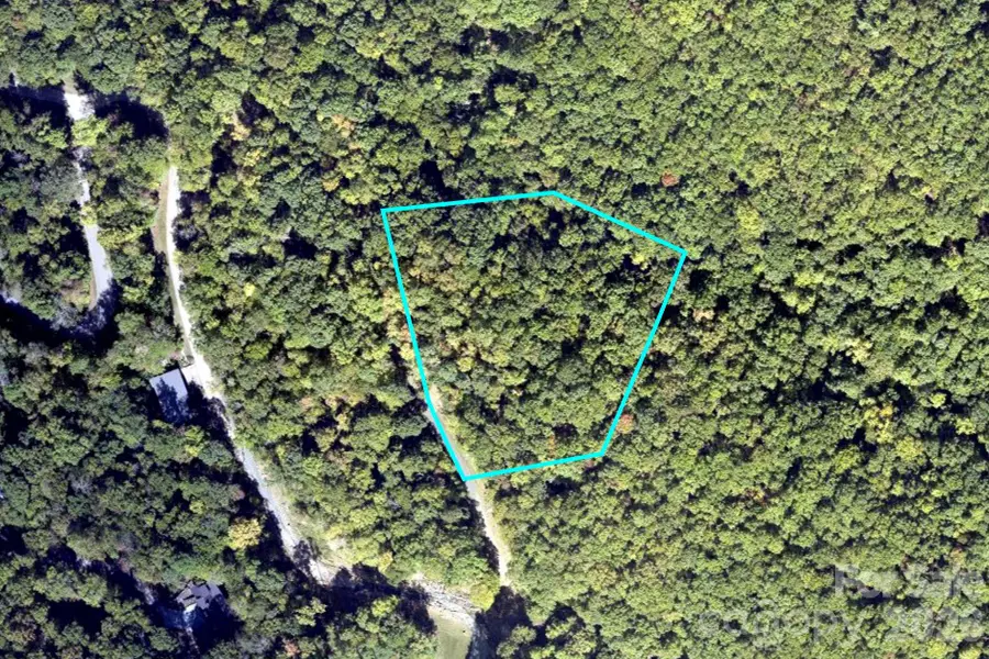 1250 Arborcrest Way #43, Swannanoa, NC 28778 - #2