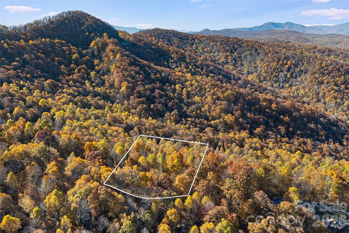 LOT 103 Alderfly Court, Spruce Pine, NC 28777 - #1
