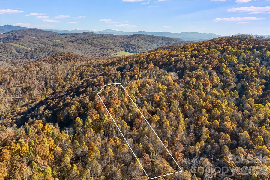 LOT 103 Alderfly Court, Spruce Pine, NC 28777 - #2