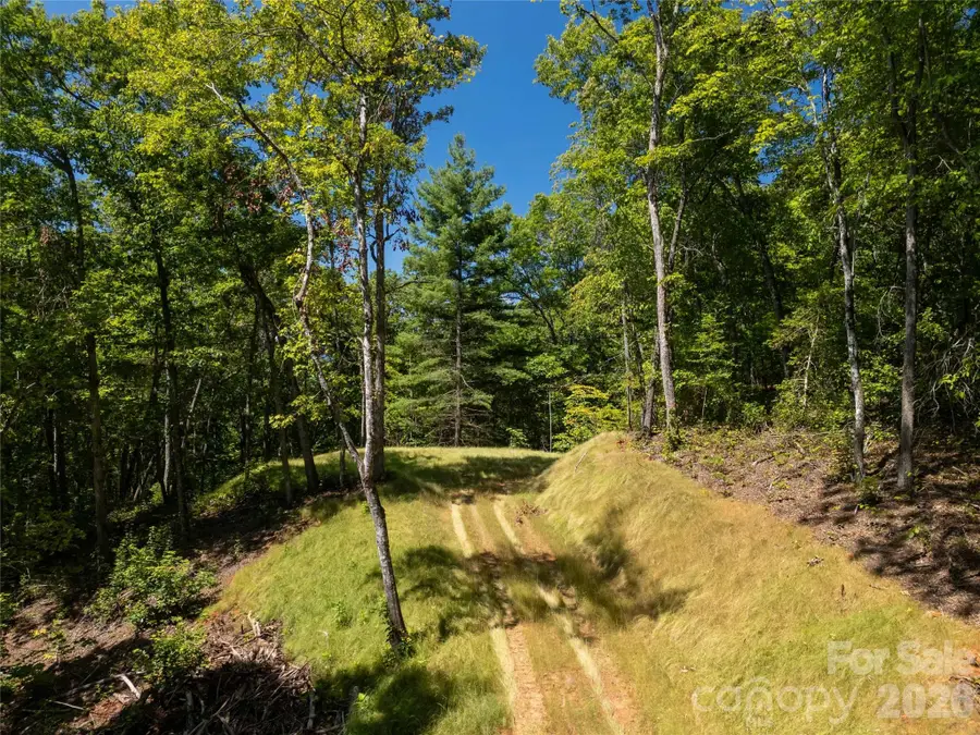 Lot B Natures Glen Drive, Sylva, NC 28779 - #2