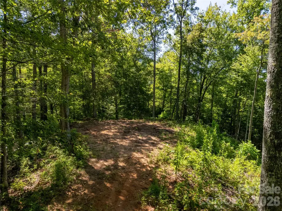 Lot C Claude Cook Road, Sylva, NC 28779 - #3