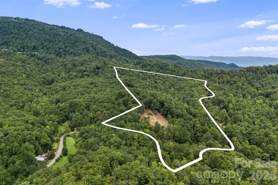 163 Camp Elliott Road, Black Mountain, NC 28711 - #3