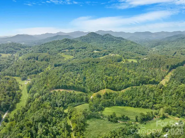 99999 Meadows Town Road, Leicester, NC 28748