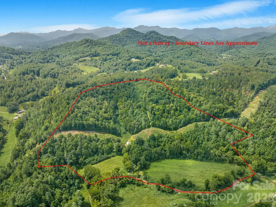 99999 Meadows Town Road, Leicester, NC 28748 - #2