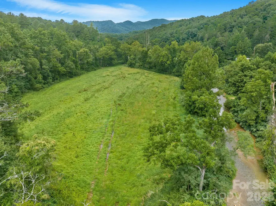 99999 Meadows Town Road, Leicester, NC 28748 - #3