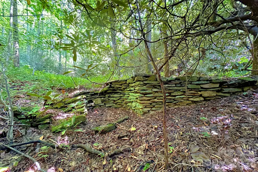 999 Fowler Lane, Fletcher, NC 28732 - #2